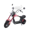 Harley m 1000W